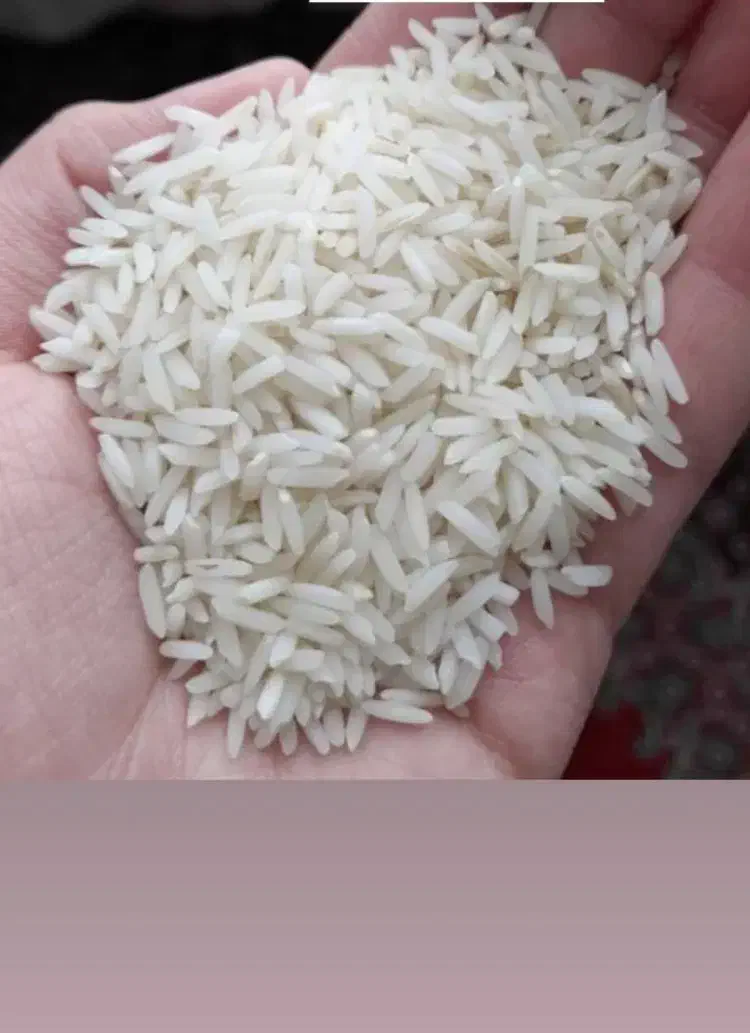 برنج|خوردنی و آشامیدنی|پارسآباد, |دیوار