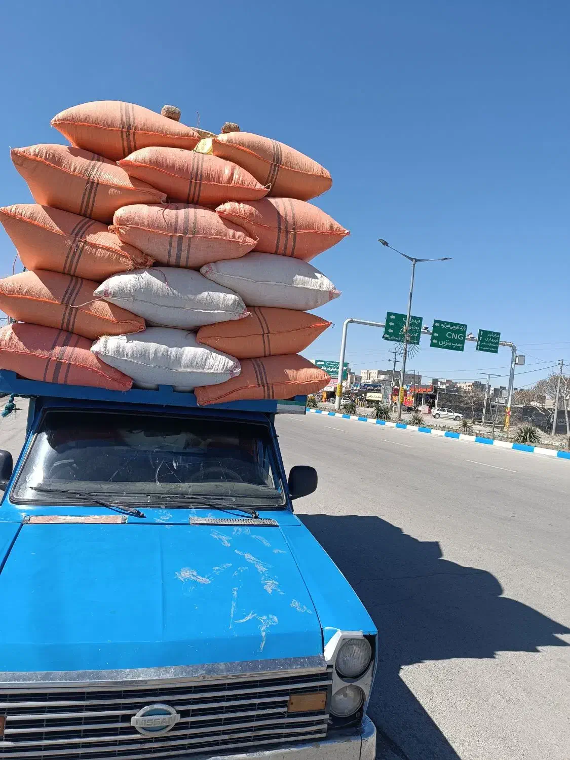 کاه گندم|حیوانات مزرعه|نیشابور, دهنو|دیوار