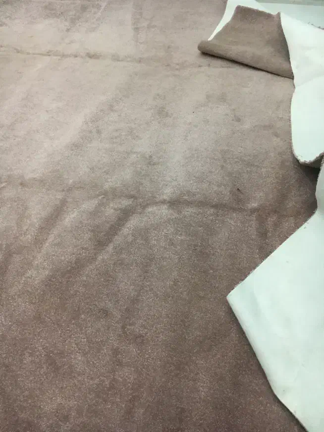 پالاز موکت ۱۲ متری کالباسی|موکت|کرمانشاه, |دیوار