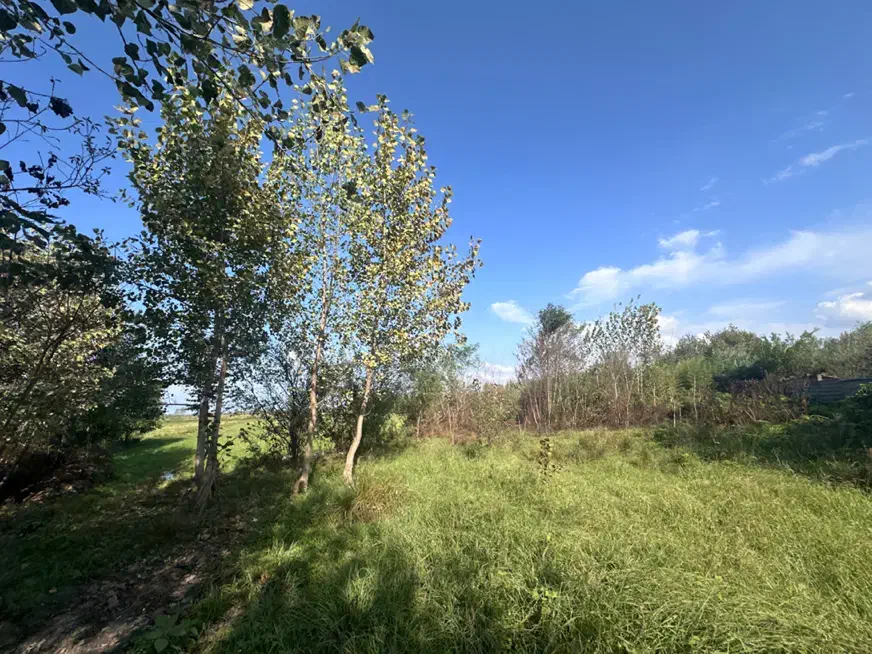 ۹۰۰ متر زمین با پروانه ساخت جاده رشت فومن|فروش زمین و ملک کلنگی|رشت, حافظ آباد|دیوار