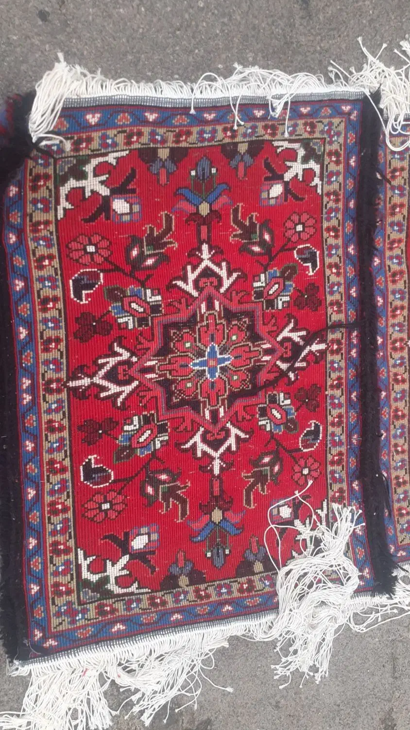 ۲ عدد پادری|پادری|تبریز, |دیوار