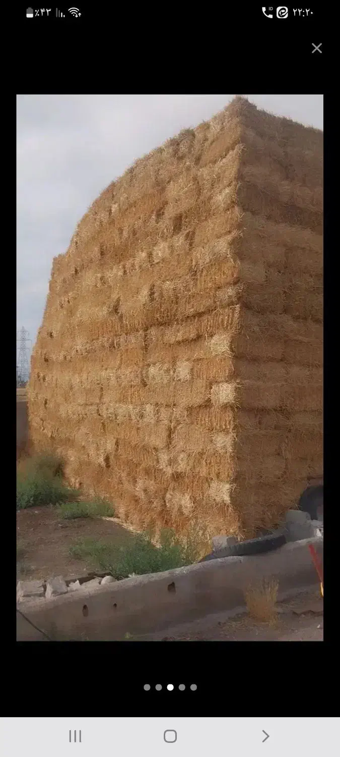 فروش کاه پرس|عمده‌فروشی|دامغان, |دیوار