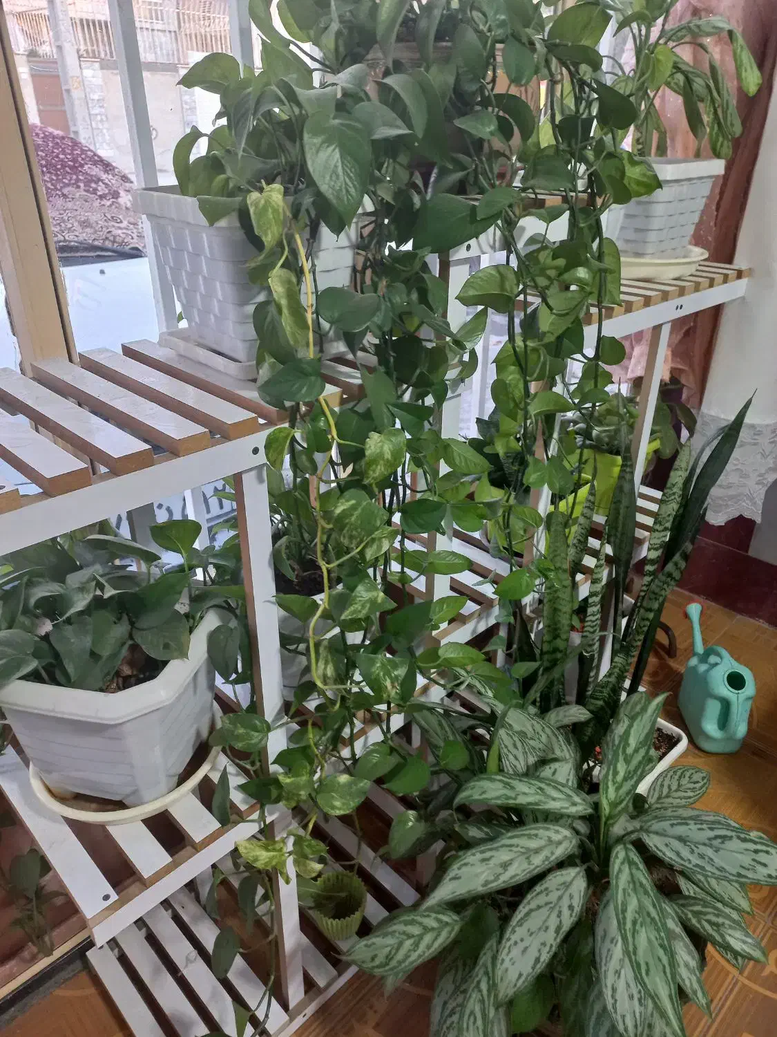 شلف ۱۲۰×۱۱۰|کتابخانه، شلف، قفسه‌های دیواری|کرمانشاه, |دیوار