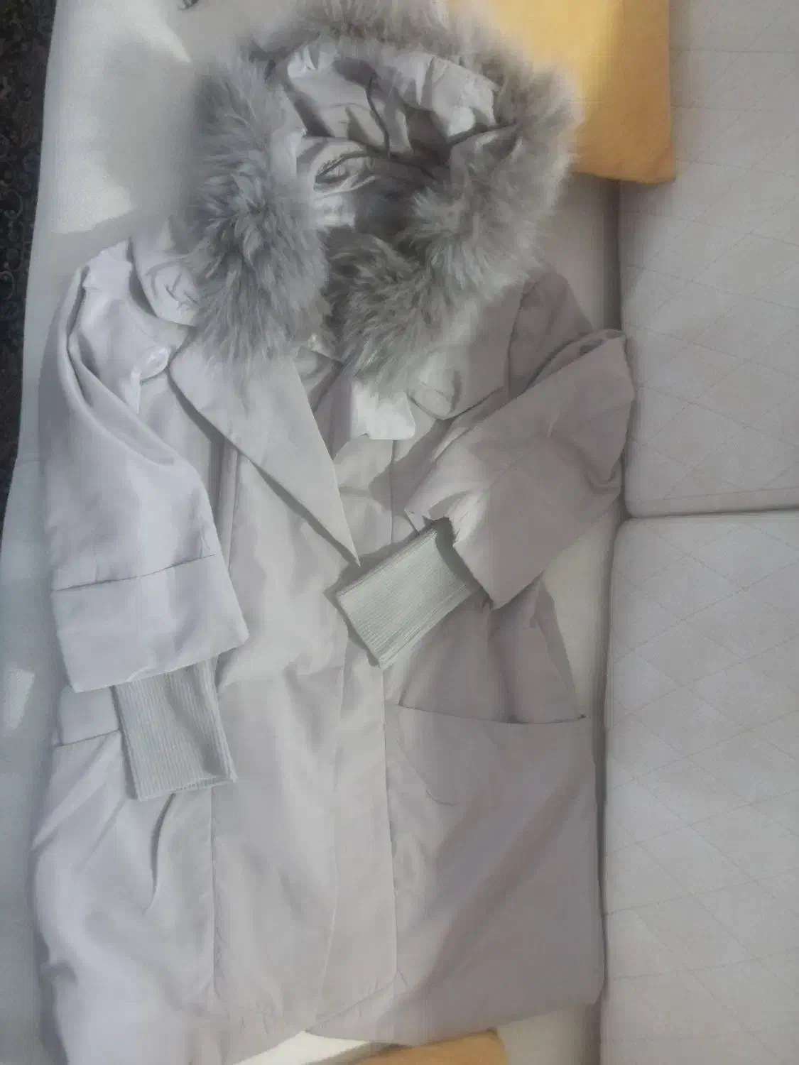 پالتوزنانه|لباس|بیرجند, |دیوار