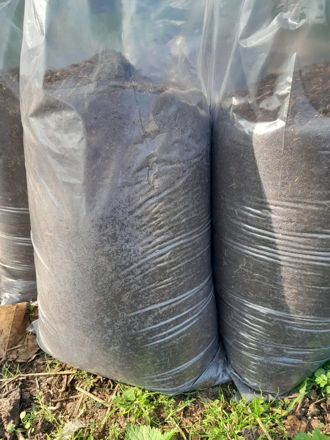 خاک گلدان کمپوست|خدمات باغبانی و درختکاری|رشت, پسیخان|دیوار