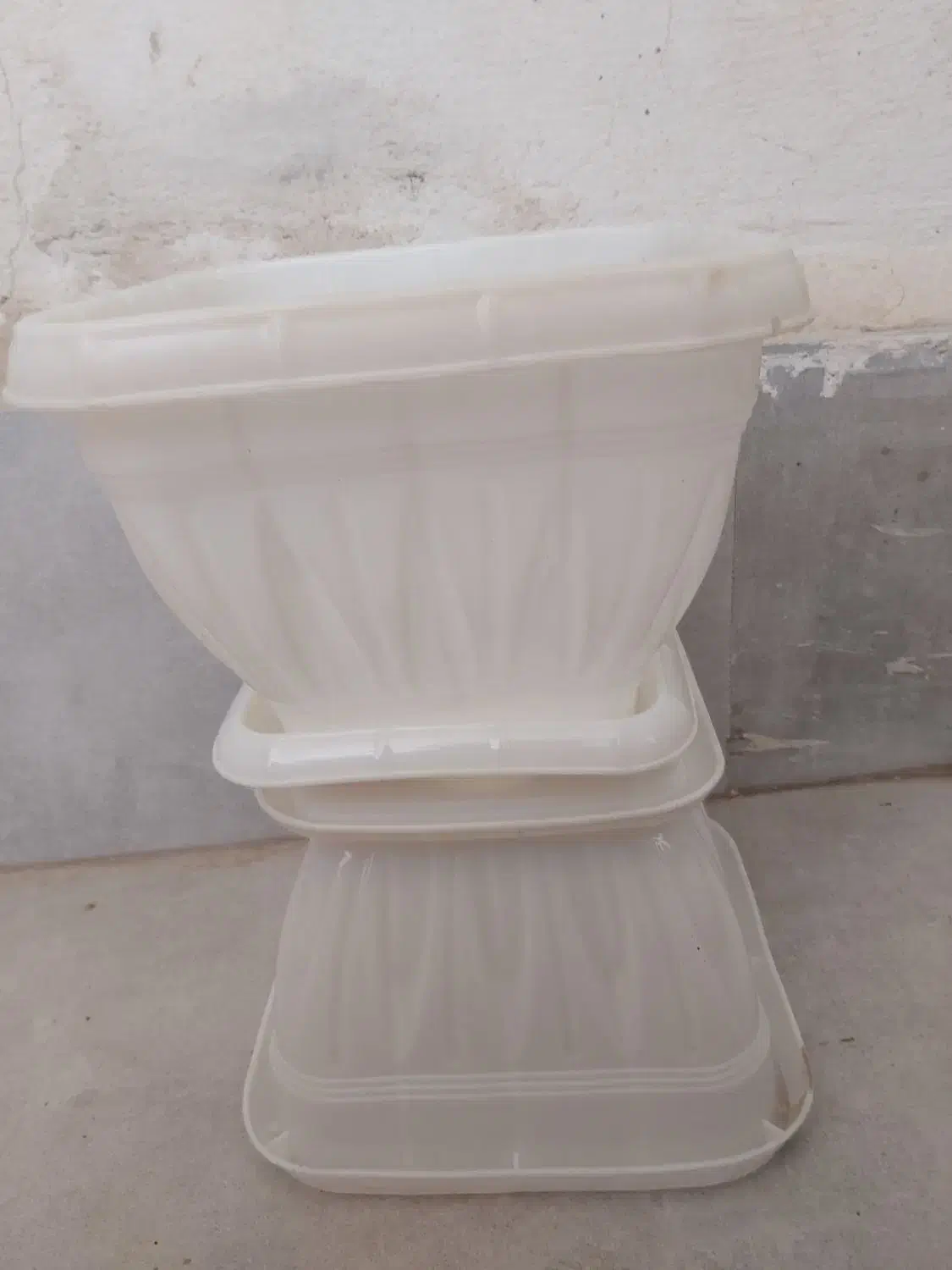 ۳ تا گلدون نونو بزرگ|گل و گیاه طبیعی|پاکدشت, پاکدشت (مامازند)|دیوار