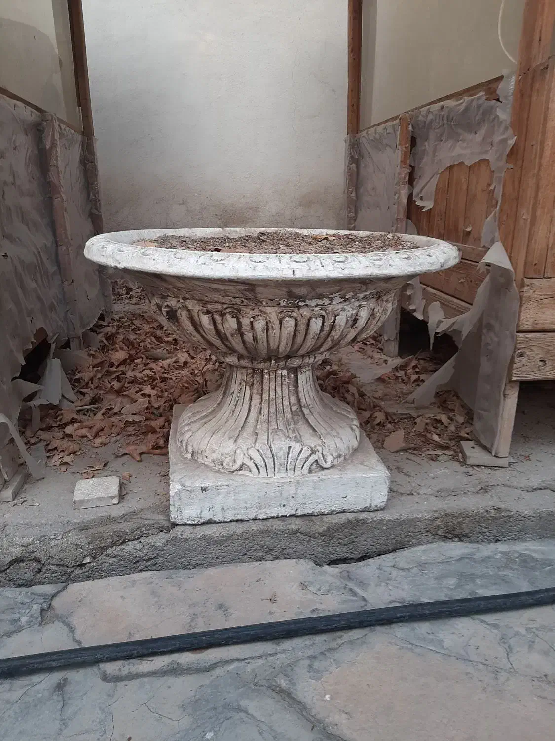 گلدان سیمانی|گل و گیاه طبیعی|ورامین, ورامین|دیوار