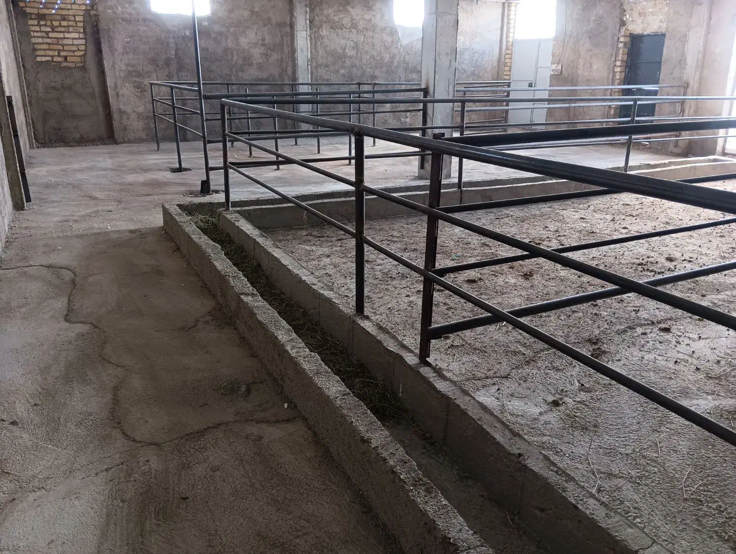 فروش  دامداری صنعتی گوسفند داشتی 200راسی|فروش دفتر صنعتی، کشاورزی، تجاری|زنجان, |دیوار