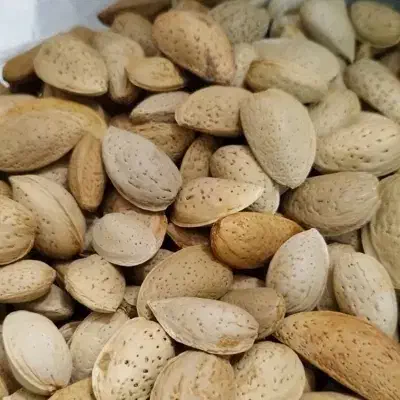 بادام سنگی|خوردنی و آشامیدنی|تهران, خاوران|دیوار