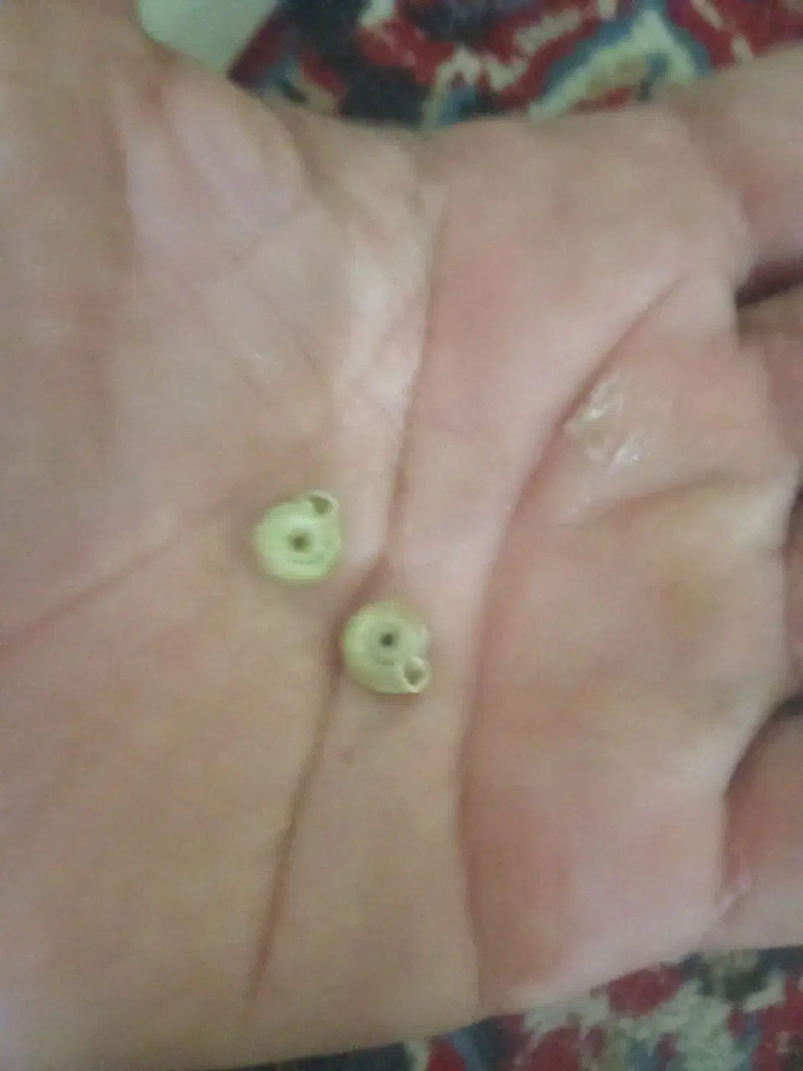 فروش مهره جهره ومهر|کلکسیون اشیاء عتیقه|میناب, |دیوار