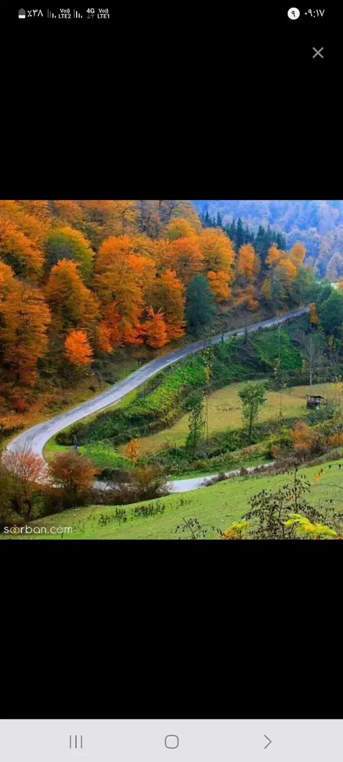 راهنمایی کارپاره وقت|فعالیت داوطلبانه|قم, تعویض پلاک|دیوار