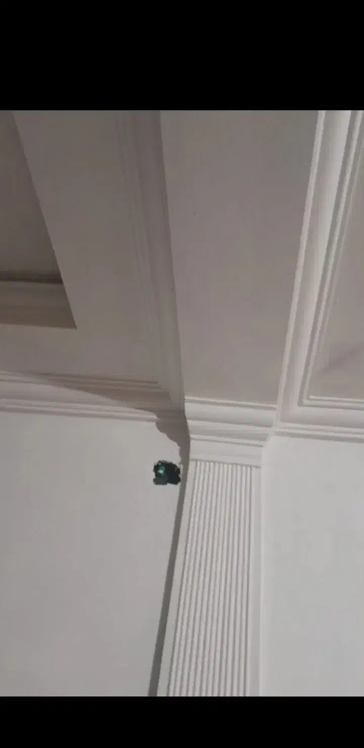 گچکاری سفید کاری|خدمات پیشه و مهارت|سرپل ذهاب, |دیوار