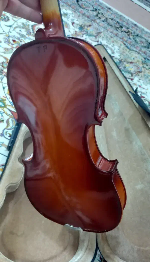 ویولون|ویولن|بجنورد, |دیوار