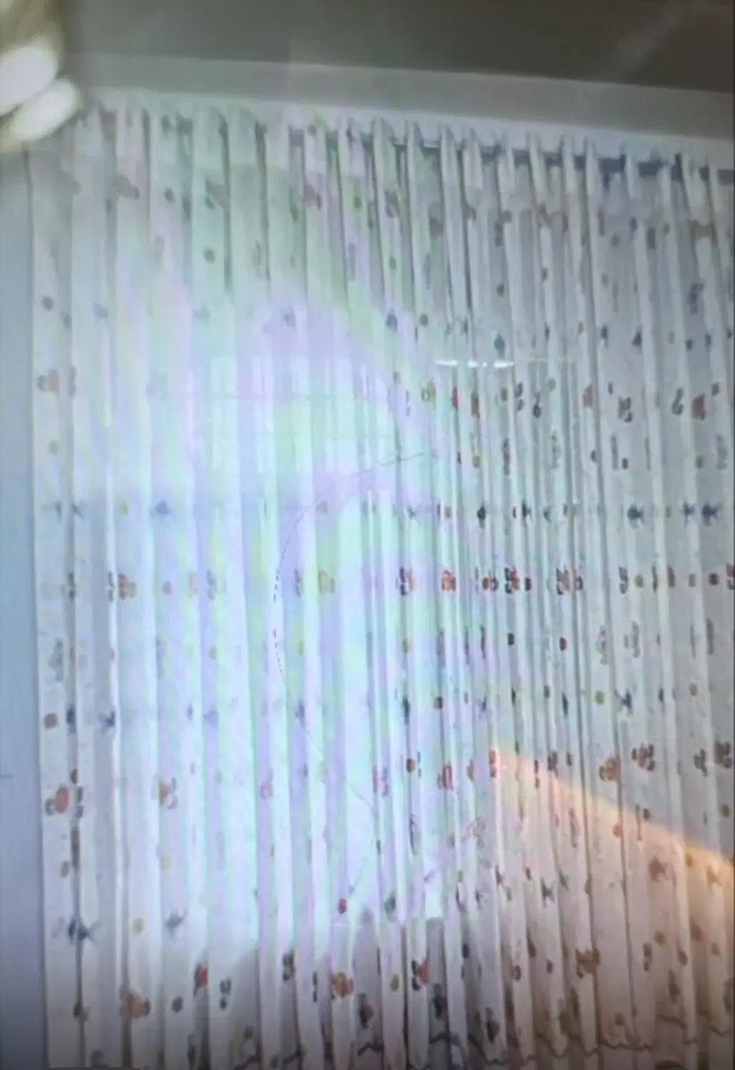 پرده|پرده، رانر، رومیزی|یاسوج, |دیوار