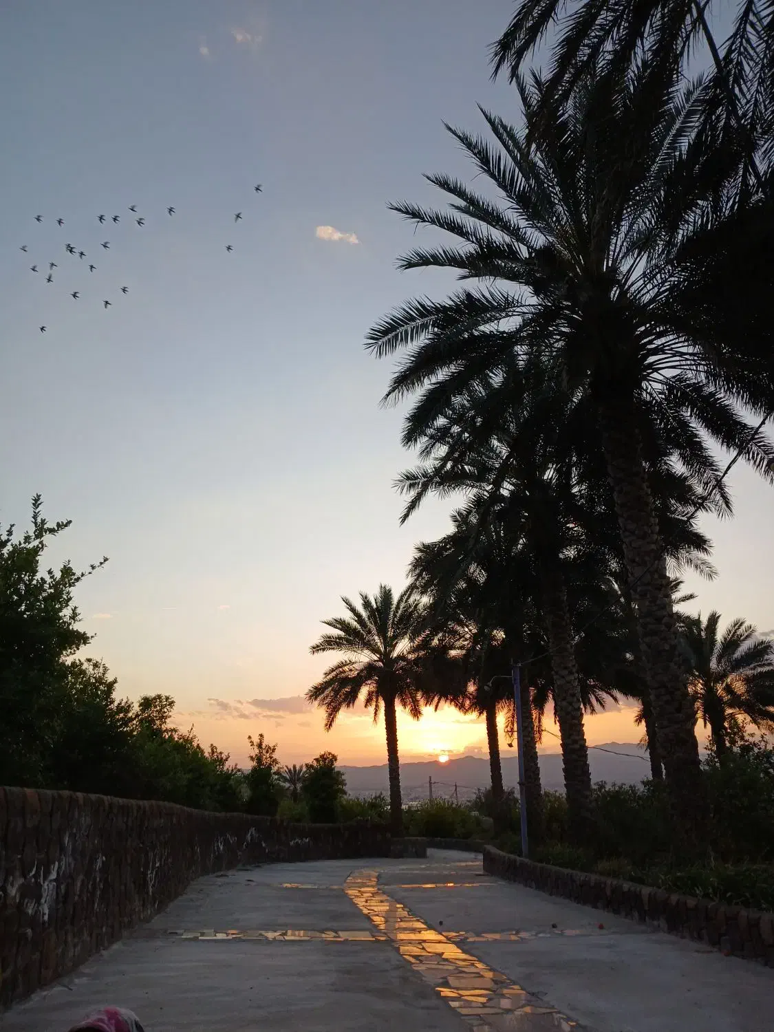 فروش حج عمره|تور و چارتر|شیراز, پودنک|دیوار