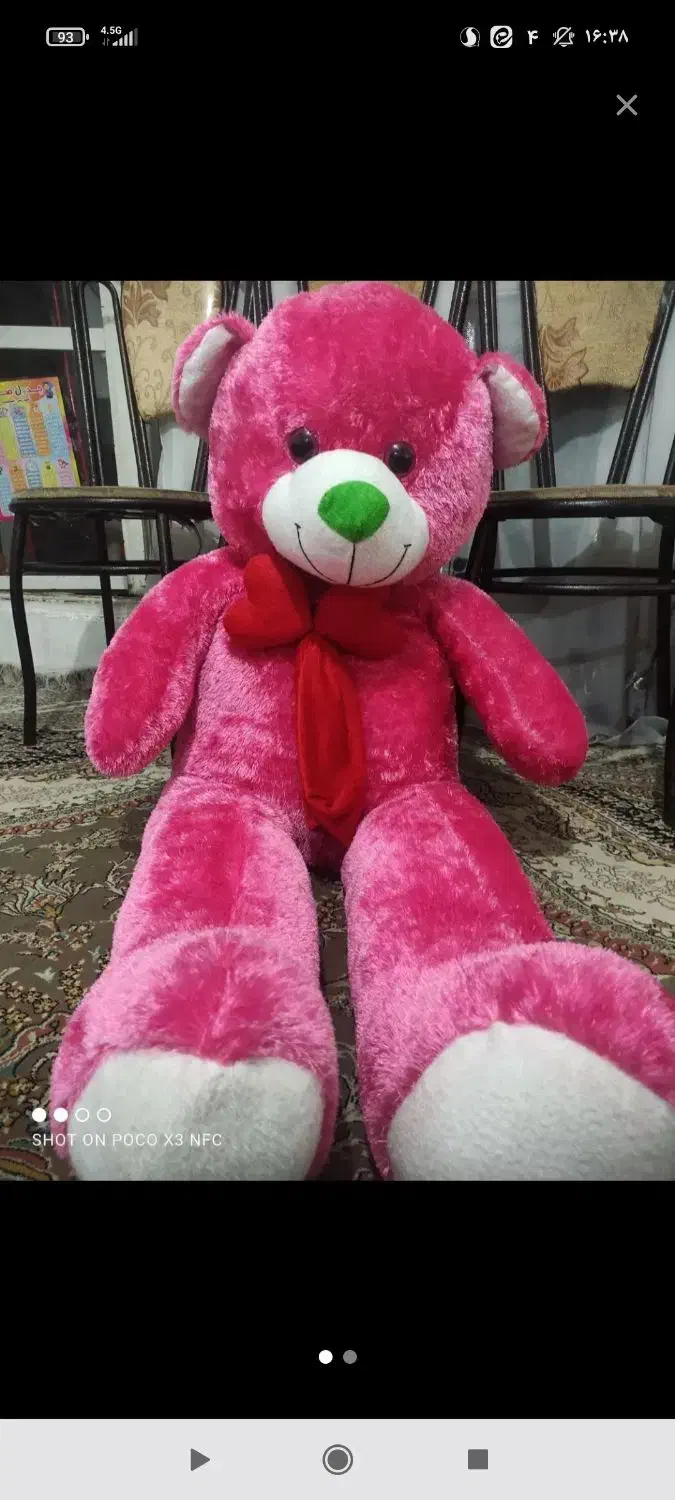 خرس صورتی|اسباب‌بازی بچه|شیراز, فاضل|دیوار
