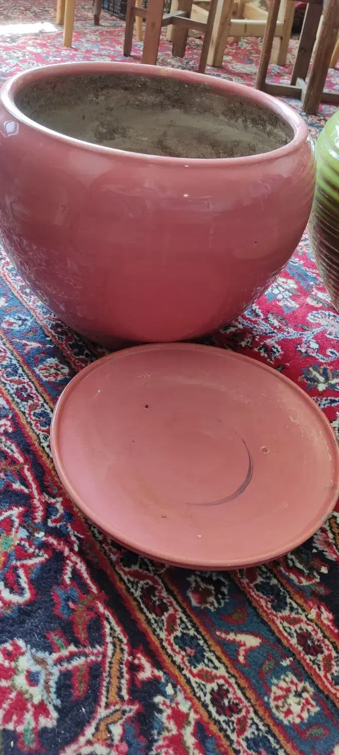 گلدان سفالی سایز بزرگ|گل و گیاه طبیعی|کرمان, |دیوار