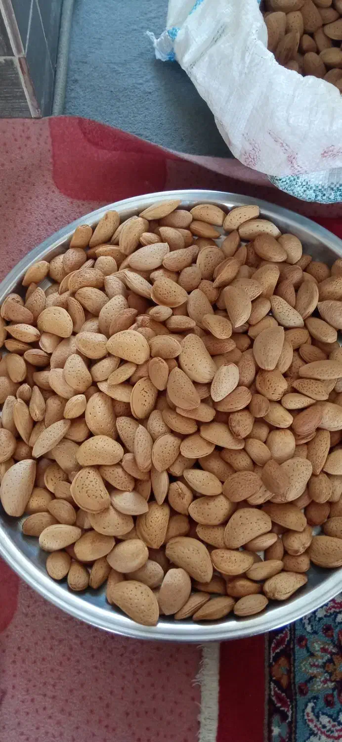بادام امسال|خوردنی و آشامیدنی|شیراز, تندگویان|دیوار