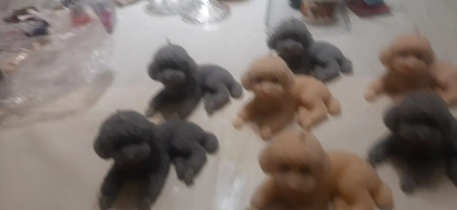 شمع های دست ساز و معطر|صنایع دستی و سایر لوازم تزئینی|تهران, سازمان آب|دیوار