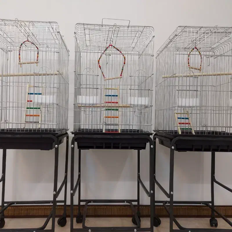 فروشگاه لوازم جانبی پرندگان|لوازم جانبی حیوانات|بیرجند, |دیوار