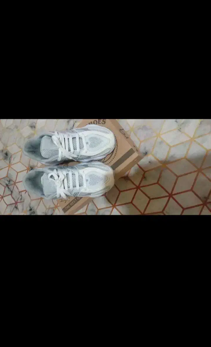 کفش|کیف، کفش، کمربند|مشهد, سازمان آب|دیوار