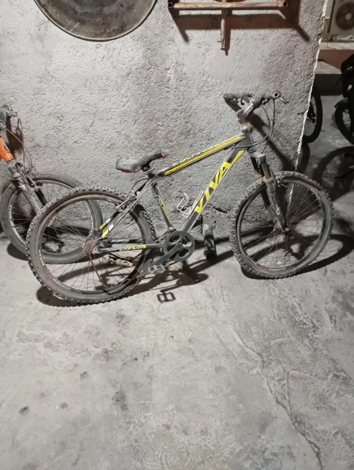 دوچرخه ویوا|دوچرخه، اسکیت، اسکوتر|برازجان, |دیوار