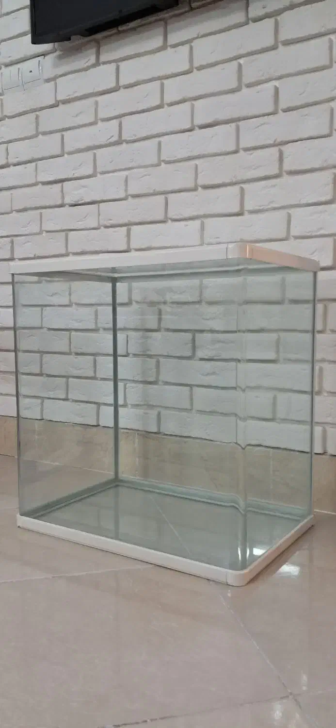 اکواریوم شیشه خم ۵۶×۳۵×۵۵|ماهی|قم, پردیسان|دیوار