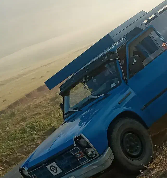 حمل بار کیوی از باغ در لیسار و جوکندان|خدمات حمل و نقل|لیسار, |دیوار