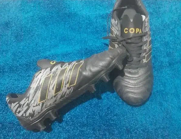 استوک|کیف، کفش، کمربند|همدان, |دیوار