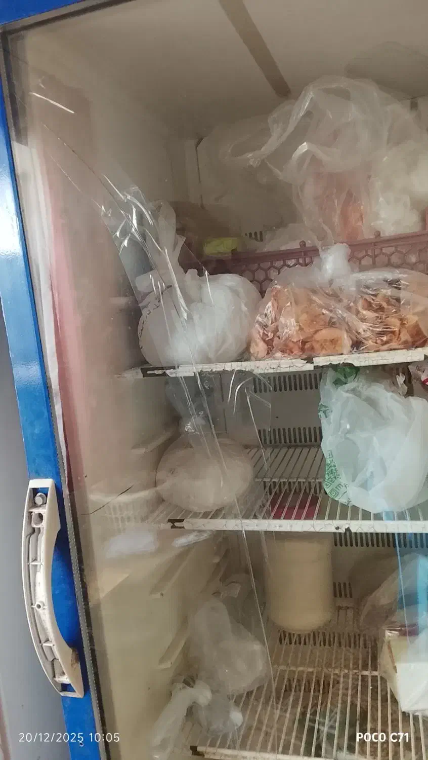 یخچال تک درب فروشگاهی 10م ت|یخچال و فریزر|خورموج, |دیوار