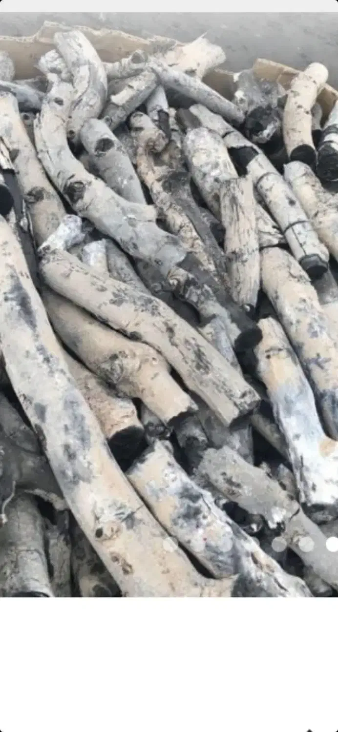 پخش زغال پسته|عمدهفروشی|تهران, ستارخان|دیوار