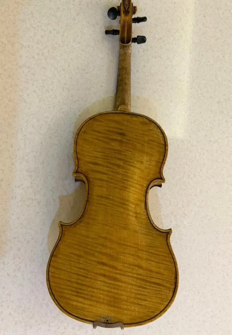 ویولن دست ساز ایتالیایی|ویولن|کرج, کارخانه قند|دیوار