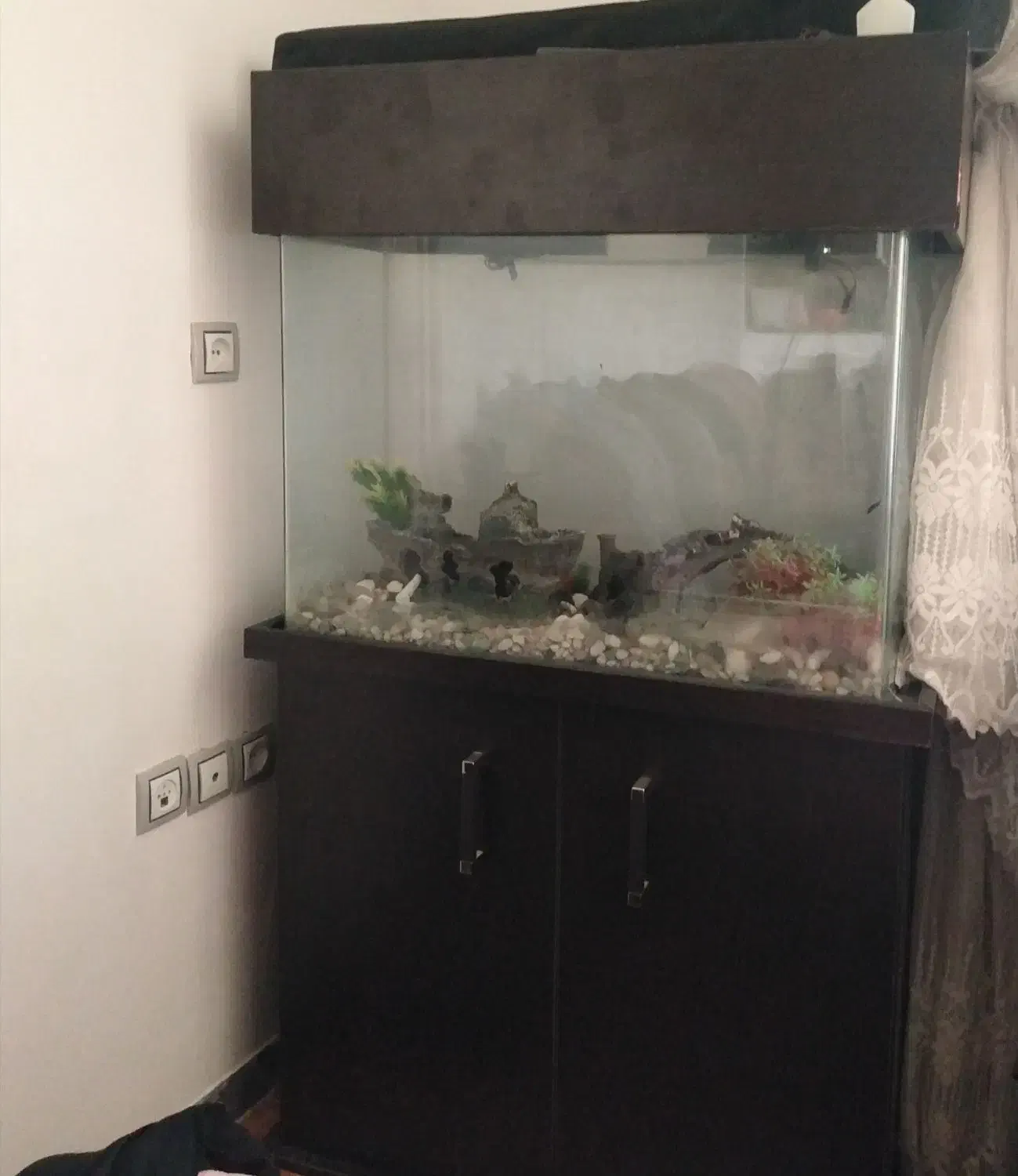 فروش فوری اکواریوم کامل.دوچرخه 26.|دوچرخه، اسکیت، اسکوتر|صدرا-فارس, فاز ۱|دیوار