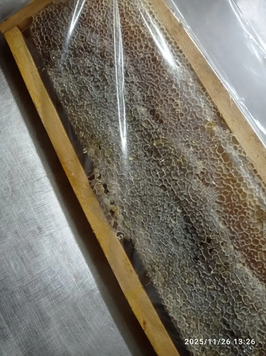 عسل طبیعی|خوردنی و آشامیدنی|رشت, منظریه|دیوار