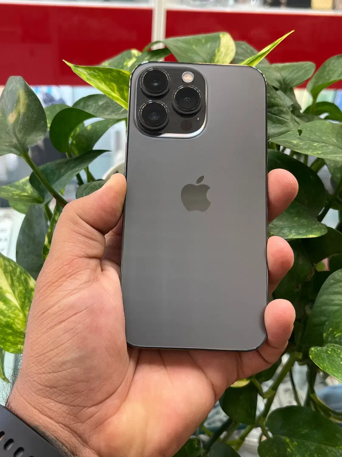 Iphone 13pro LLa|موبایل|شیراز, زند|دیوار