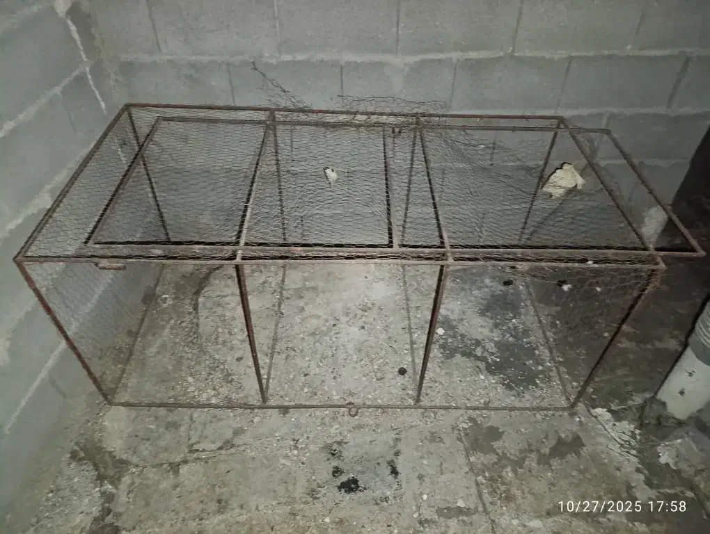 قفس کبوتری|لوازم جانبی حیوانات|کازرون, |دیوار