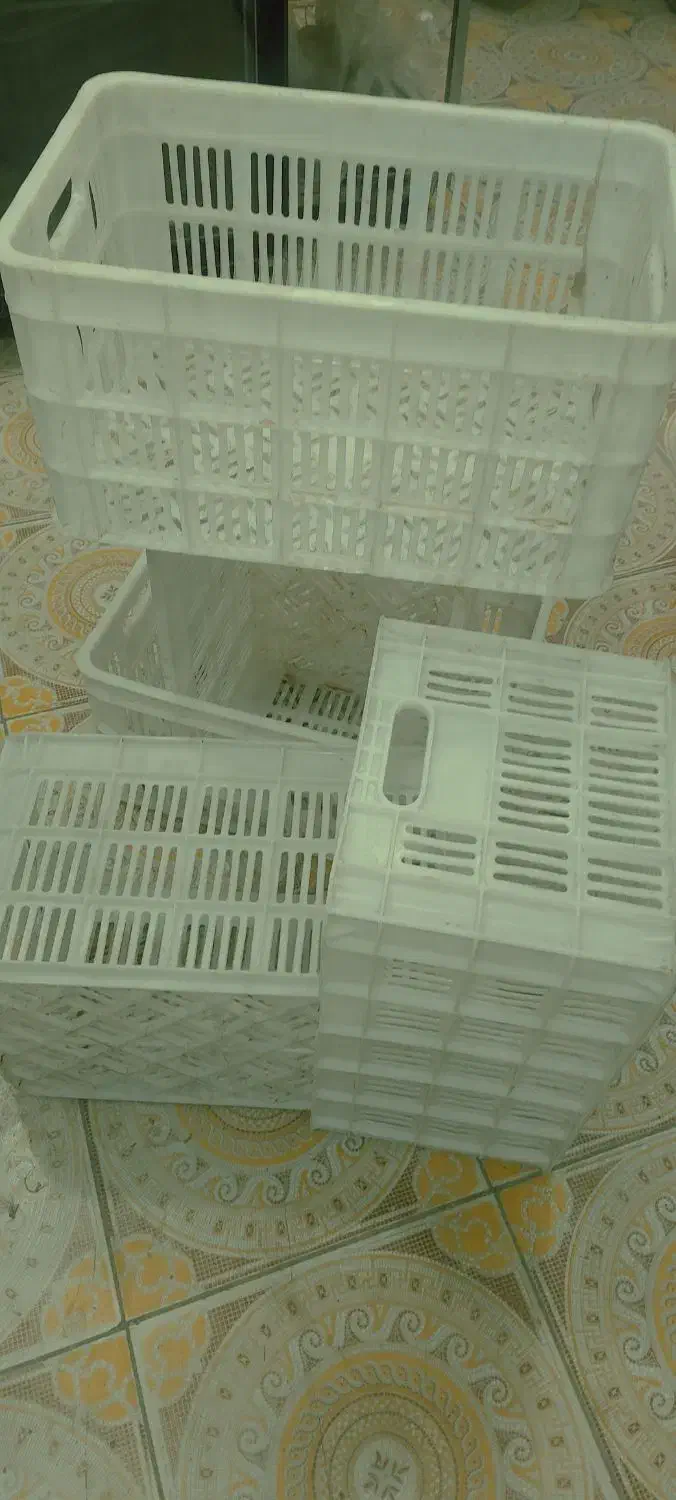 سبد پلاستیکی|فروشگاه و مغازه|خاش, |دیوار