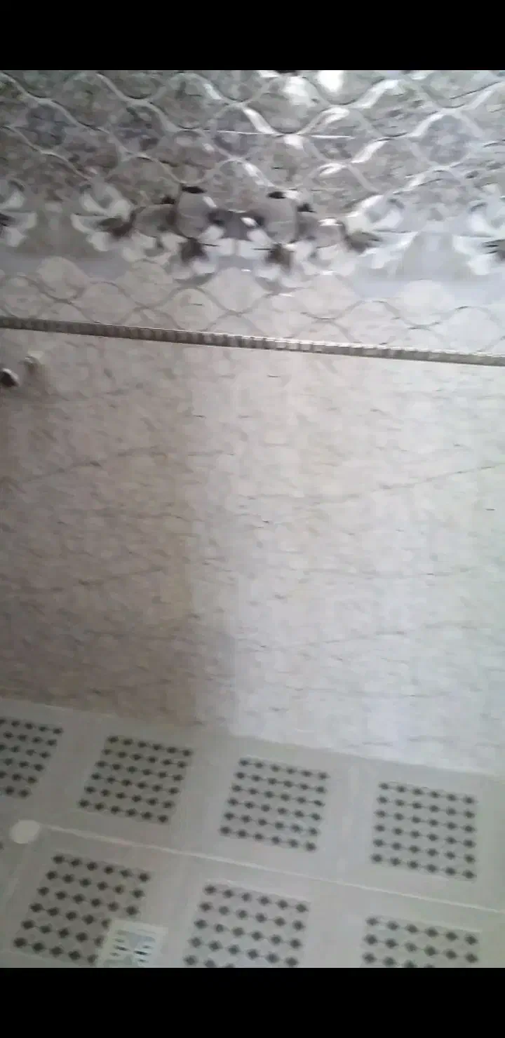 کاشیکار کاشی کاری|خدمات پیشه و مهارت|پاکدشت, پاکدشت (مامازند)|دیوار