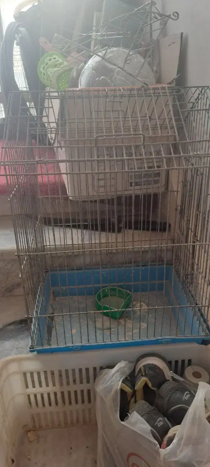 قفس پرنده|لوازم جانبی حیوانات|زابل, |دیوار