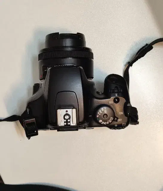 دوربین Canon 1000d|دوربین عکاسی و فیلم‌برداری|مشهد, سرافرازان|دیوار