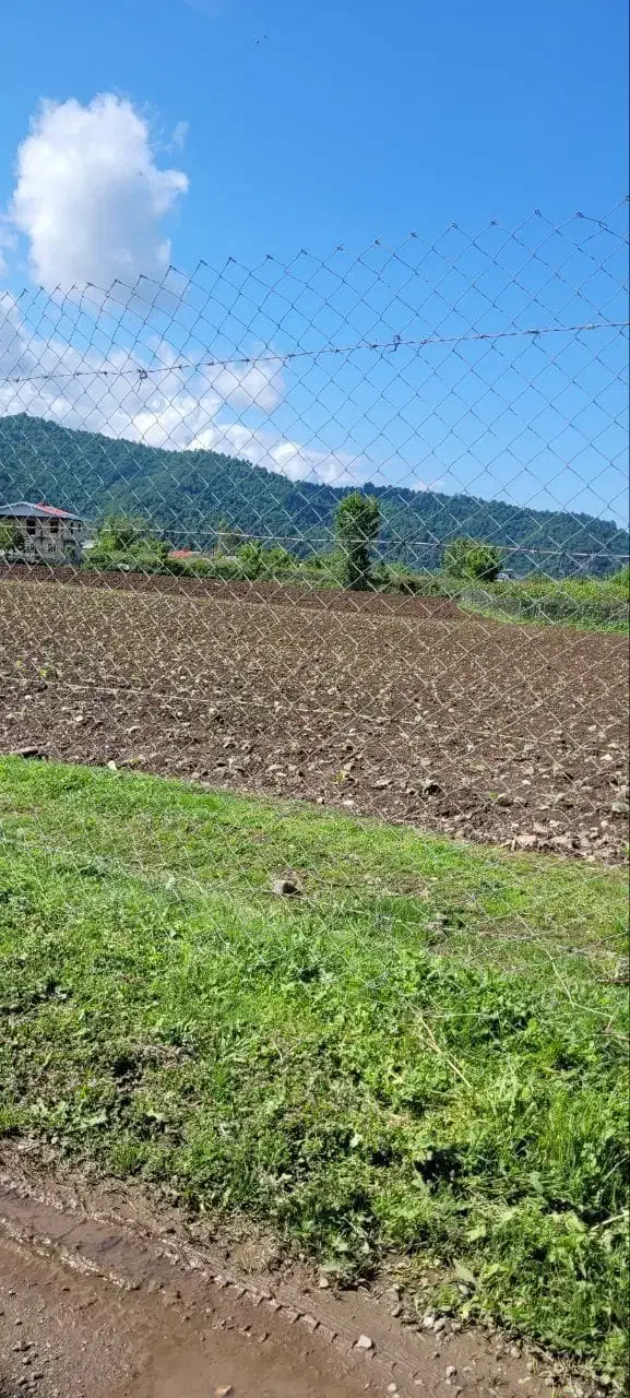 14000متر زمین مسکونی باغی بابر200متر لیسار تالش|فروش زمین و ملک کلنگی|لیسار, |دیوار