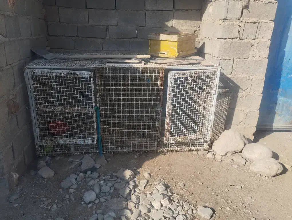 فنس بزرگ|لوازم جانبی حیوانات|ایرانشهر, |دیوار