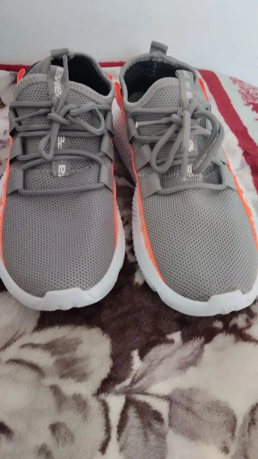 کفش راحتی|کیف، کفش، کمربند|شیروان (خراسان), |دیوار