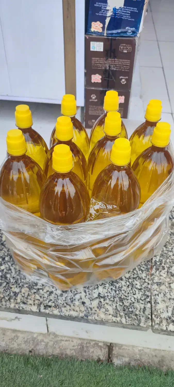 فروش زیتون و روغن زیتون بصورت کلی و جزعی|خوردنی و آشامیدنی|رودبار, |دیوار