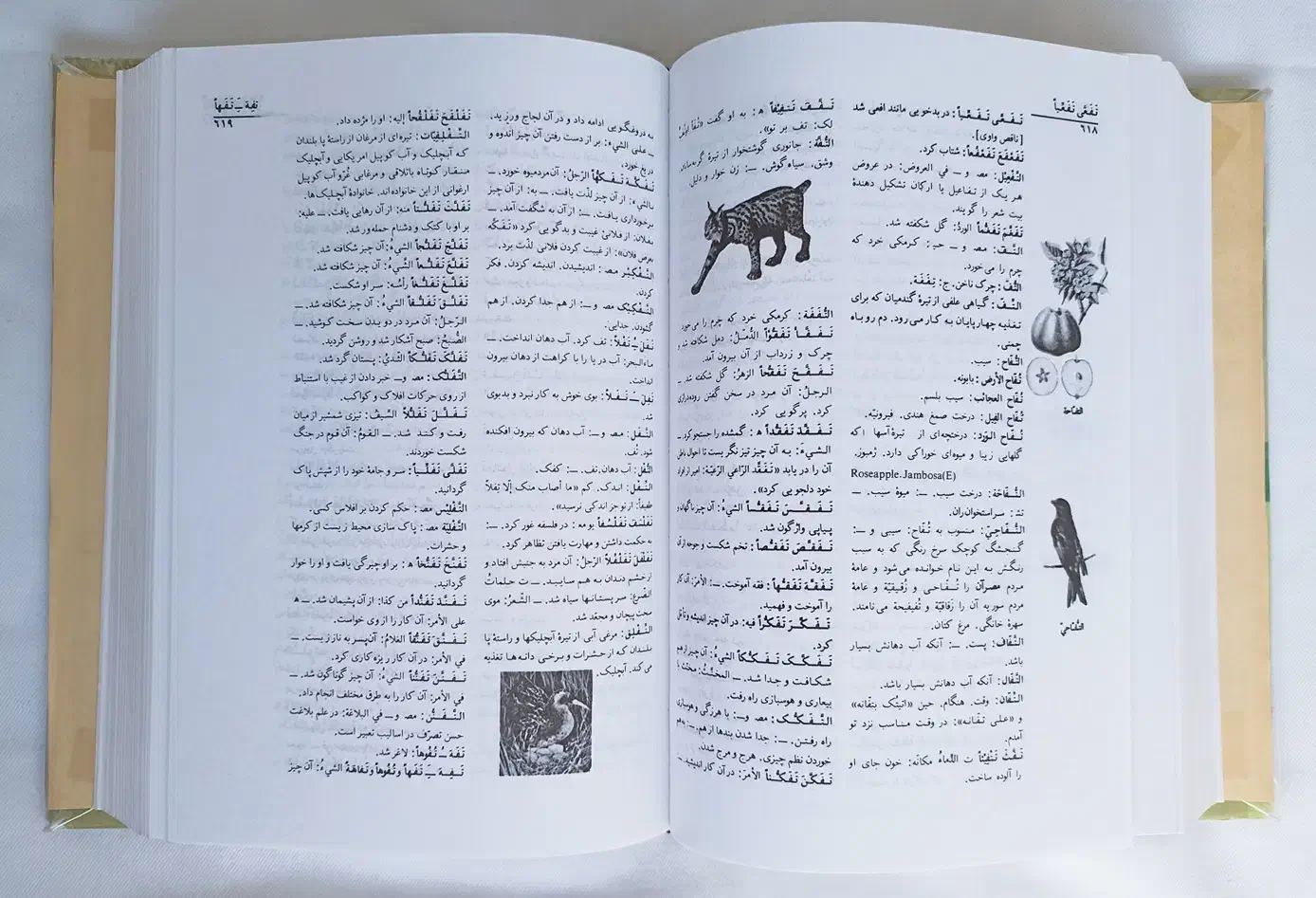 (کتاب دانشگاهی) فرهنگ لاروس، عربی-فارسی|کتاب و مجله آموزشی|تهران, منیریه|دیوار