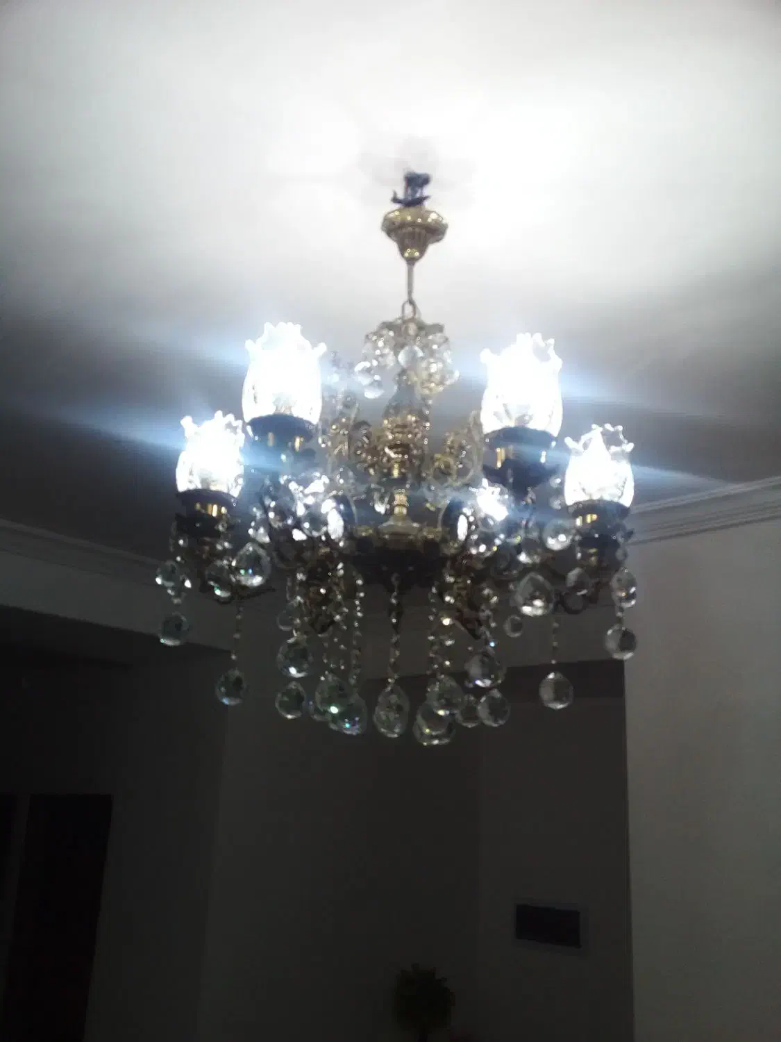 لوستر برنز|لوستر و چراغ آویز|گرگان, |دیوار