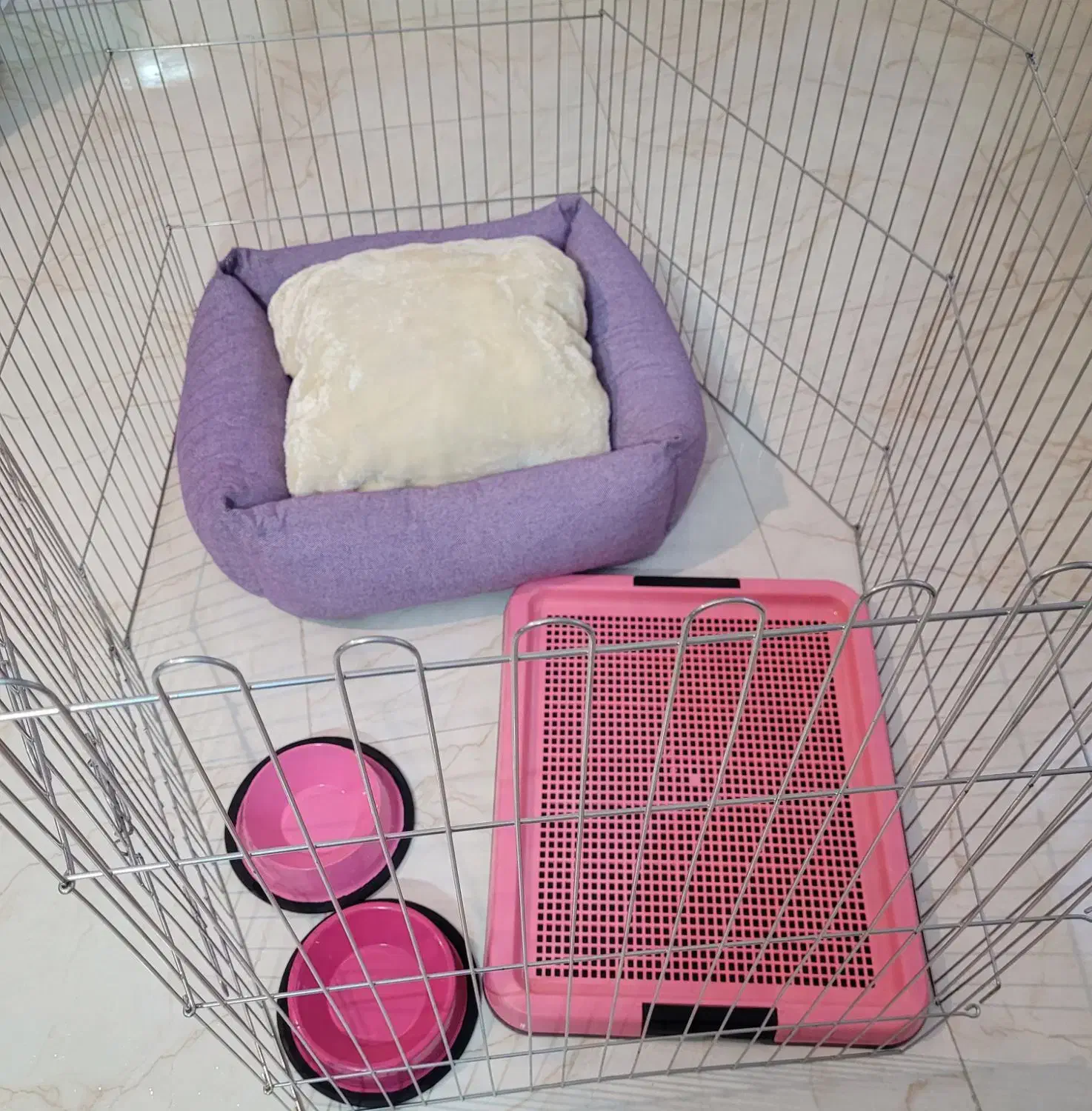 لوازم سگ خانگی|لوازم جانبی حیوانات|تهران, کوی بیمه|دیوار