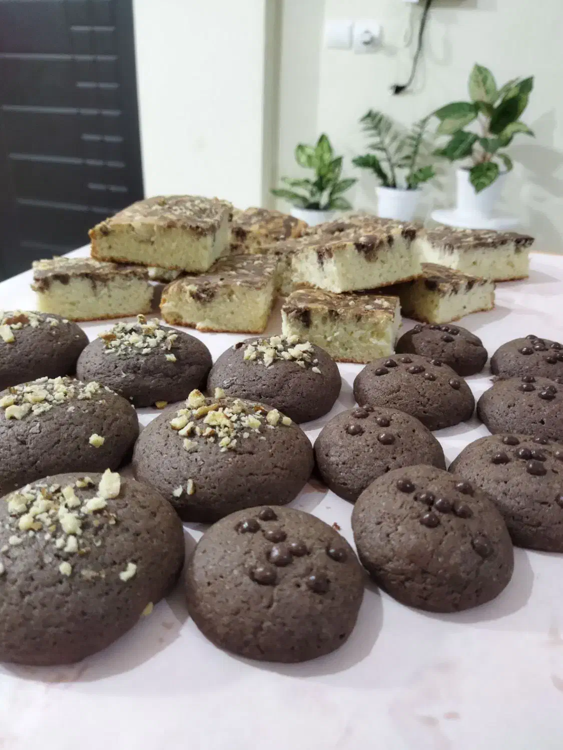 جارکیک، کوکی، قندونبات|خوردنی و آشامیدنی|بابلسر, |دیوار