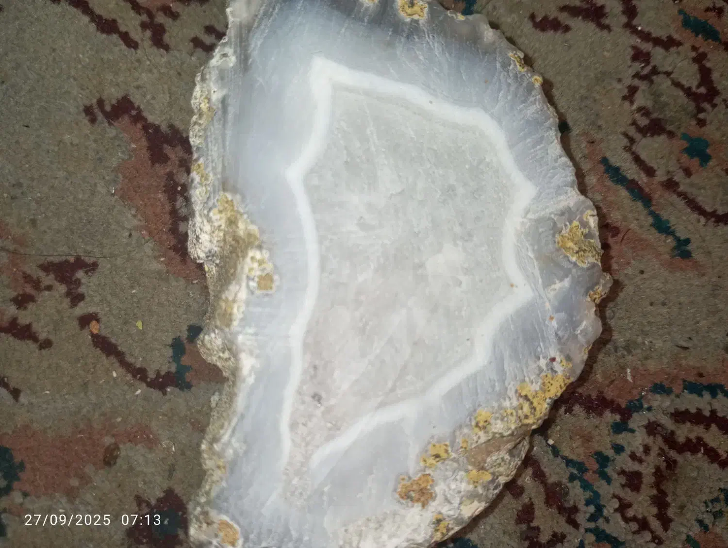 سنگ شجر|جواهرات|مهاجران, |دیوار