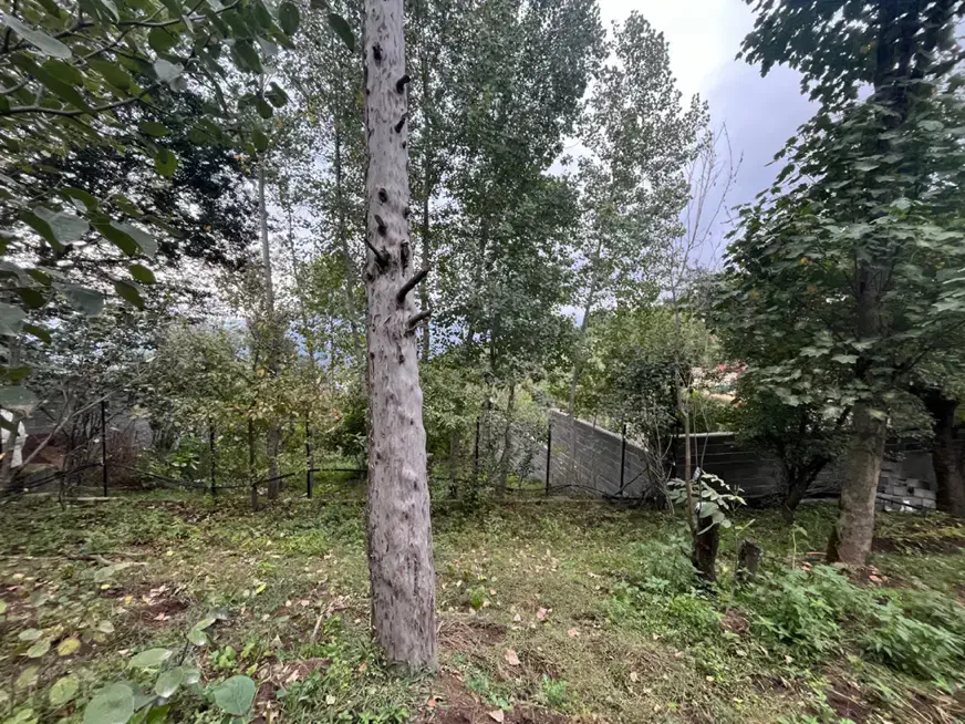 فروش زمین ۳۶۵ متر|فروش زمین و ملک کلنگی|توتکابن, |دیوار